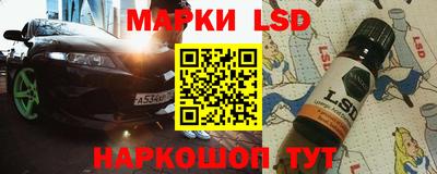 дмт Кингисепп