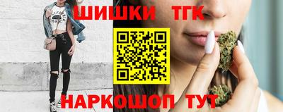 дмт Кингисепп