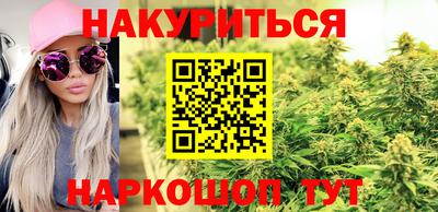 дмт Кингисепп