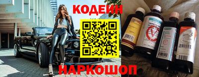 дмт Кингисепп