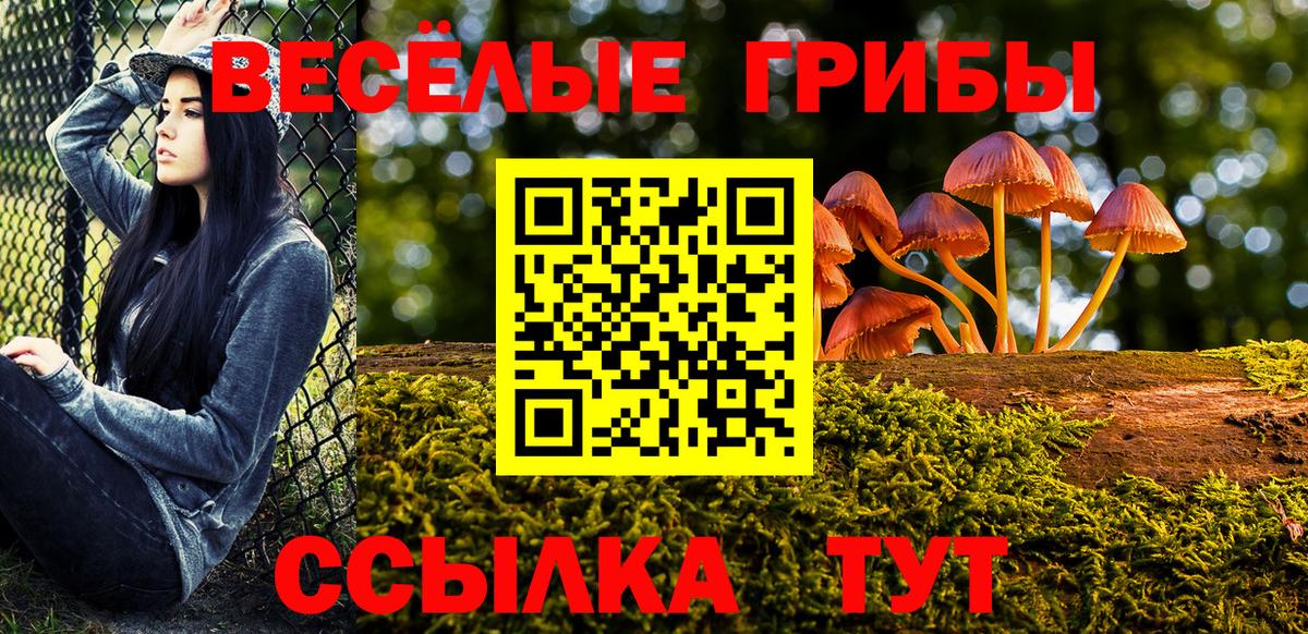 Кувандык  Галлюциногенные грибы MAGIC MUSHROOMS  Галлюциногенные грибы ЛСД  Вход с VPN 