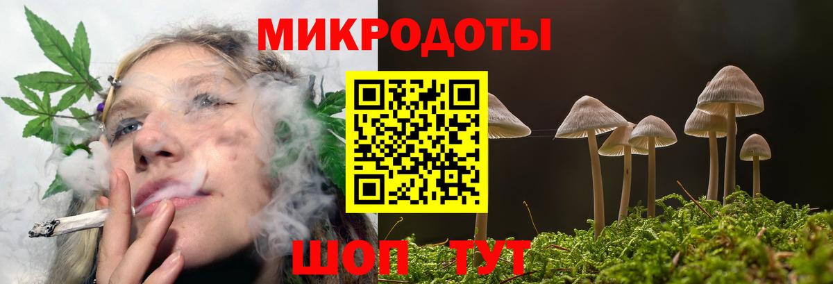 Галлюциногенные грибы Cubensis Кувандык